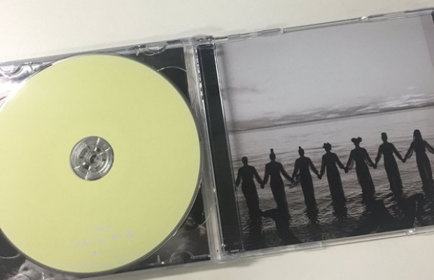 Vers&atilde;o f&iacute;sica de 'LEMONADE' (Foto: Reprodu&ccedil;&atilde;o)