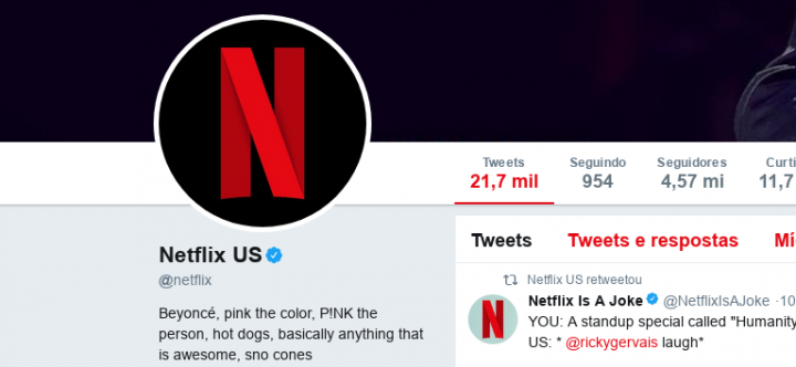 Bio da Netflix no Twitter em 17 de janeiro de 2018 (Foto: Reprodução)