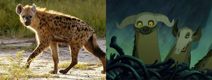 Hiena e hienas do filme 'O Rei Leão' (Foto: Reprodução/Disney)