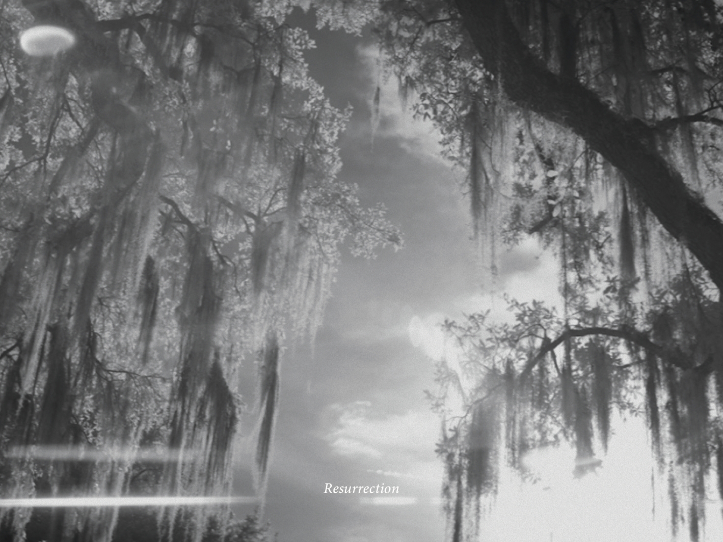 Encarte de 'LEMONADE'