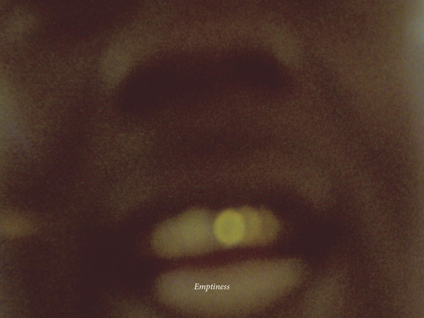 Encarte de 'LEMONADE'