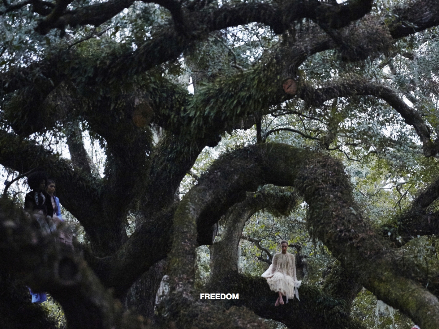 Encarte de 'LEMONADE'