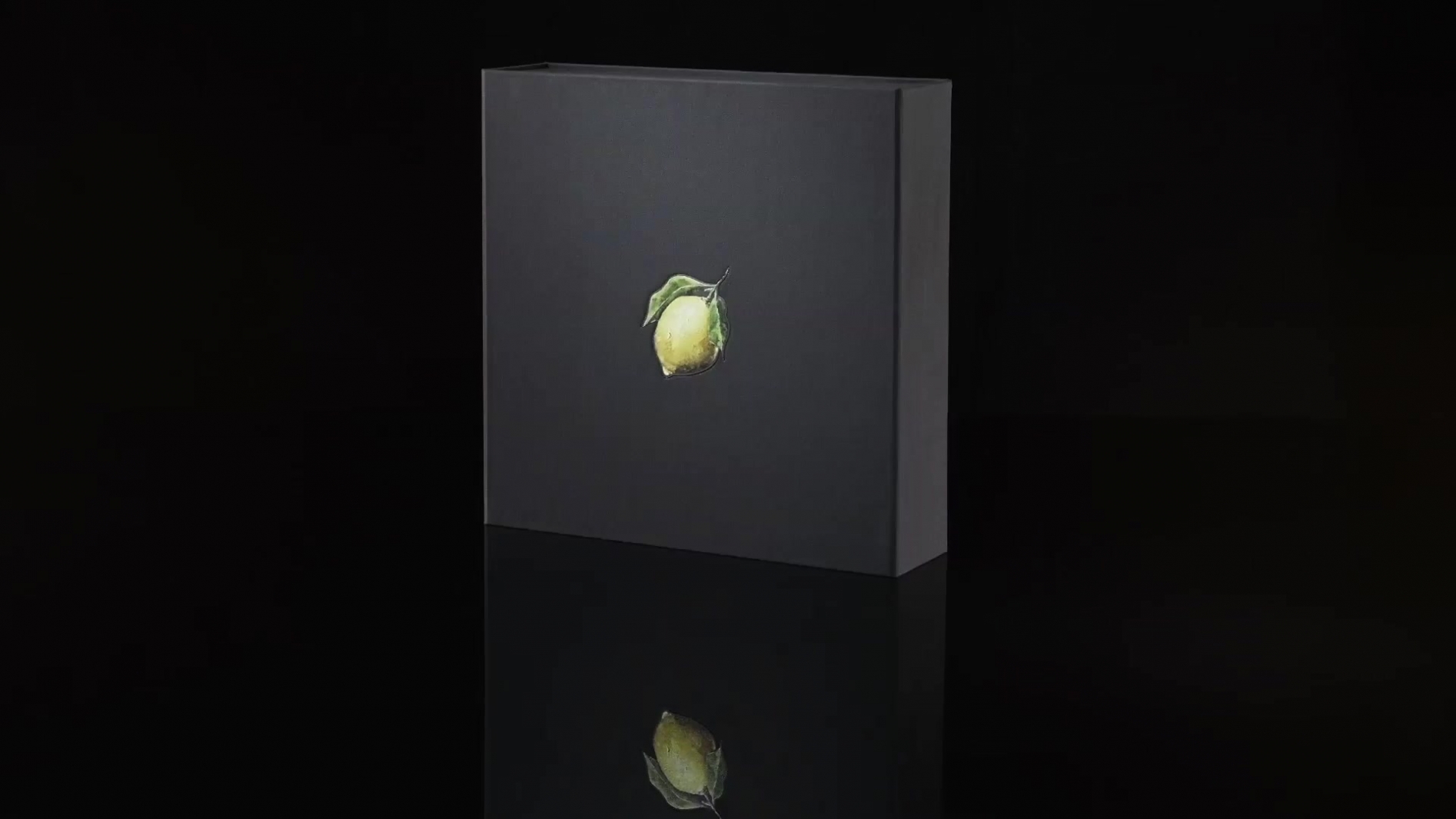 How To Make Lemonade - Preview